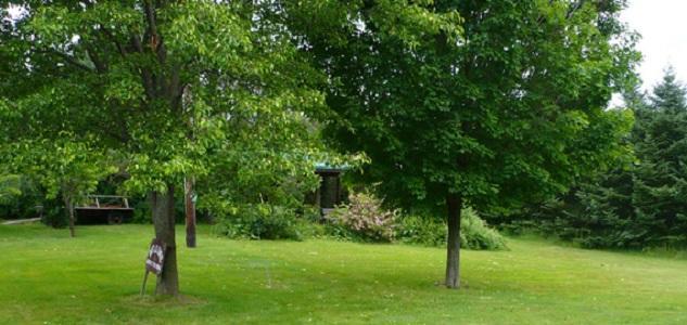 The South Glenora Tree Farm Bed and breakfast Dundee