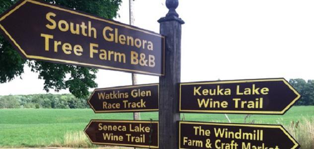 The South Glenora Tree Farm Dundee